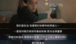 子衿大哥爆料原视频,独家内幕大公开